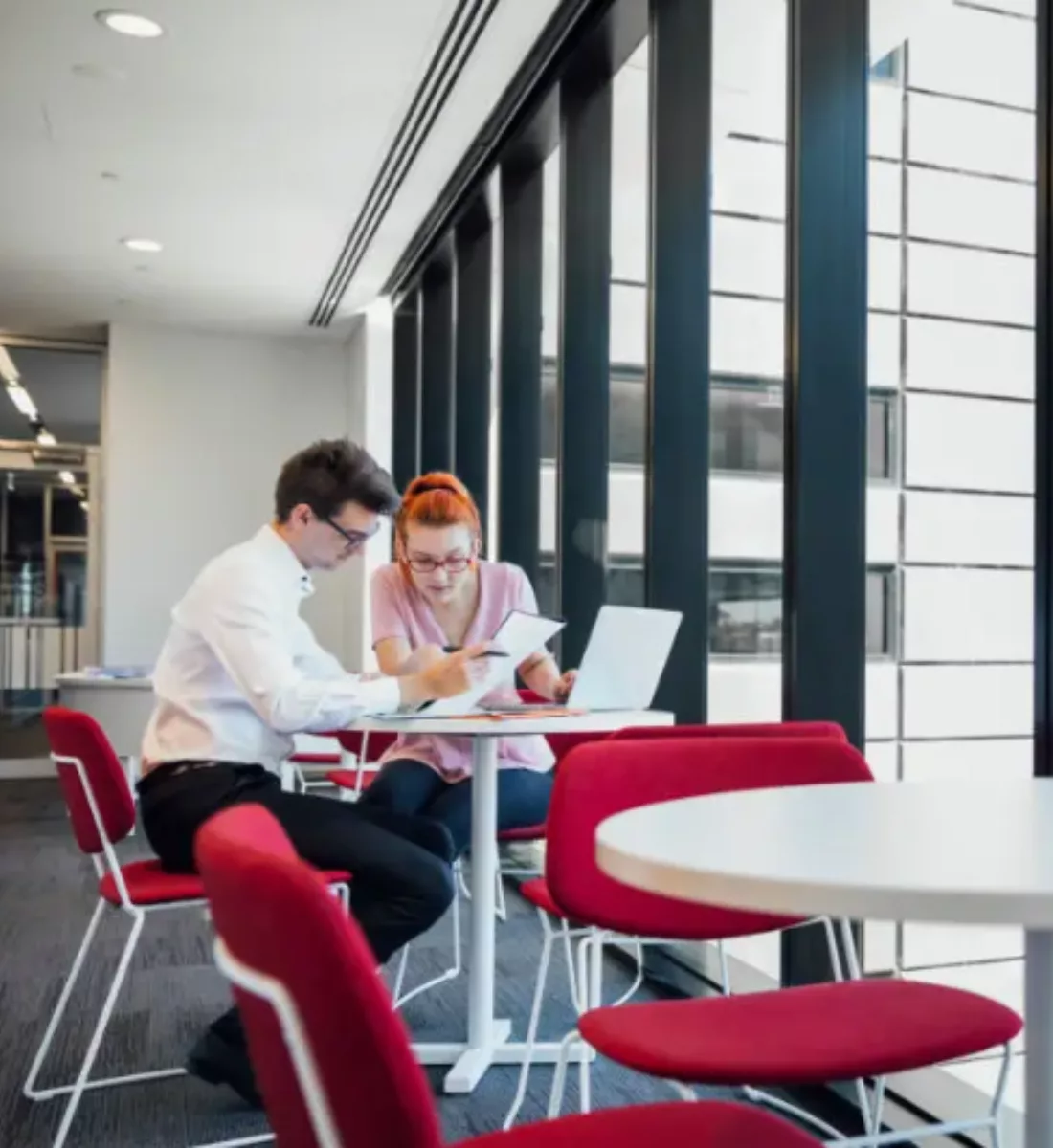 Common office pest issues